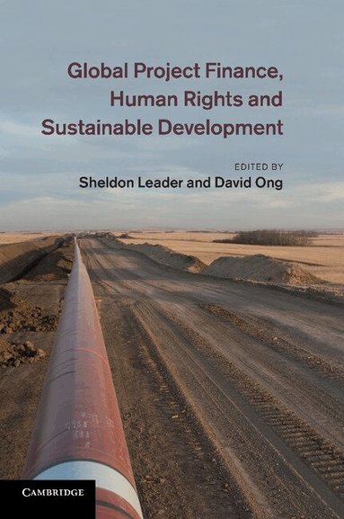 Sheldon Leader, David Ong - Global Project Finance, Human Rights and Sustainable Development, Häftad