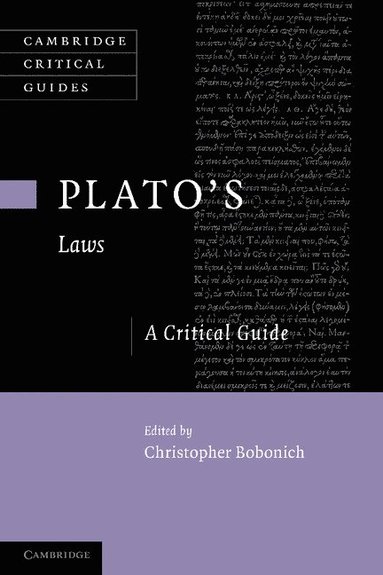 bokomslag Plato's 'Laws'