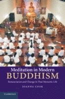 bokomslag Meditation in Modern Buddhism