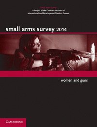 bokomslag Small Arms Survey 2014