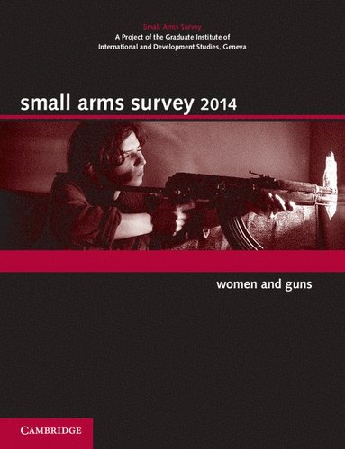 bokomslag Small Arms Survey 2014