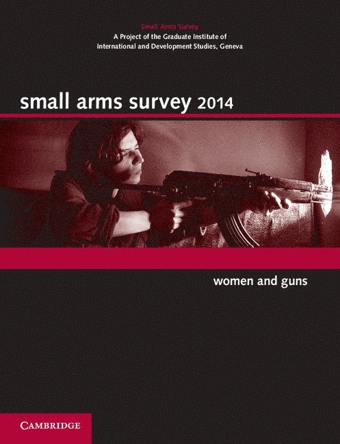 Small Arms Survey 2014 1