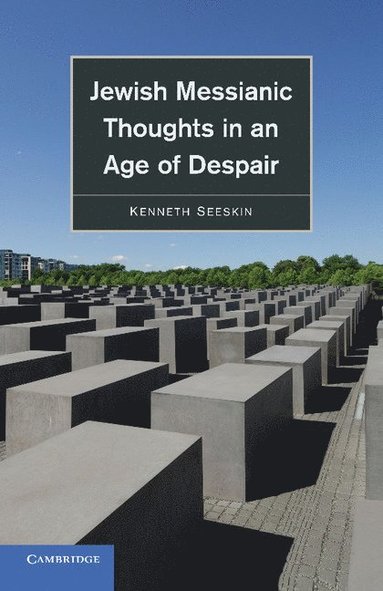 bokomslag Jewish Messianic Thoughts in an Age of Despair