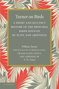 bokomslag Turner on Birds