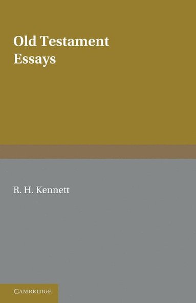 bokomslag Old Testament Essays