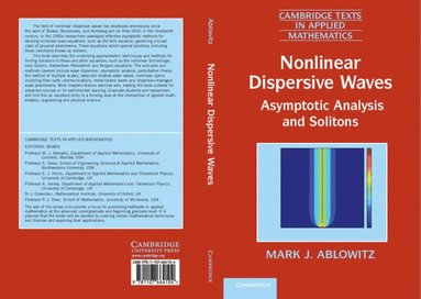 bokomslag Nonlinear Dispersive Waves