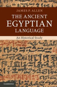 bokomslag The Ancient Egyptian Language