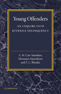 bokomslag Young Offenders