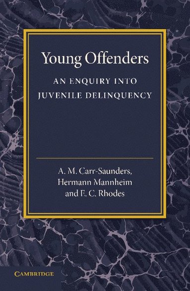 bokomslag Young Offenders