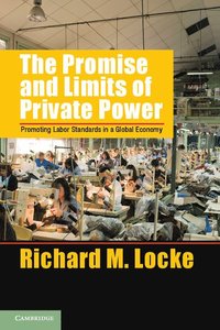 bokomslag The Promise and Limits of Private Power