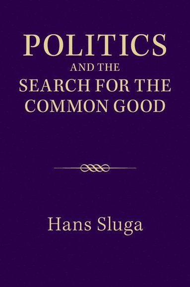 bokomslag Politics and the Search for the Common Good