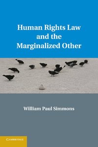 bokomslag Human Rights Law and the Marginalized Other