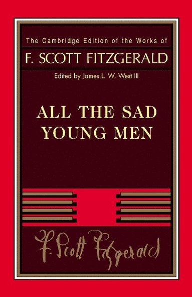 bokomslag Fitzgerald: All The Sad Young Men