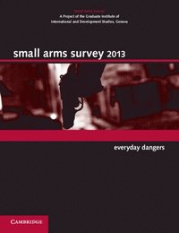 bokomslag Small Arms Survey 2013