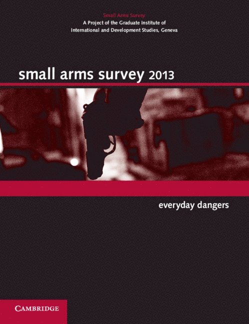 Small Arms Survey 2013 1