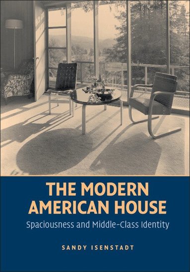Sandy Isenstadt - The Modern American House, Häftad