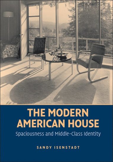 bokomslag The Modern American House