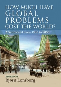 bokomslag How Much Have Global Problems Cost the World?