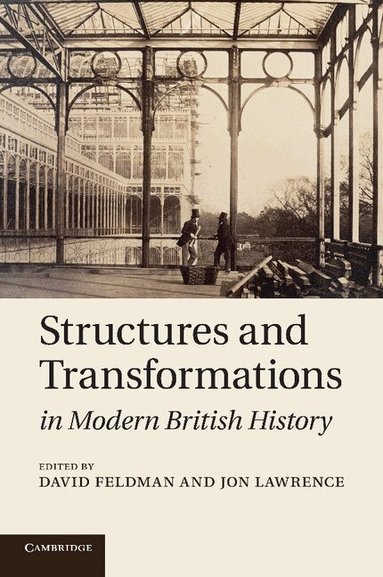 David Feldman, Jon Lawrence - Structures and Transformations in Modern British History, Häftad