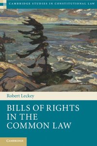 bokomslag Bills of Rights in the Common Law