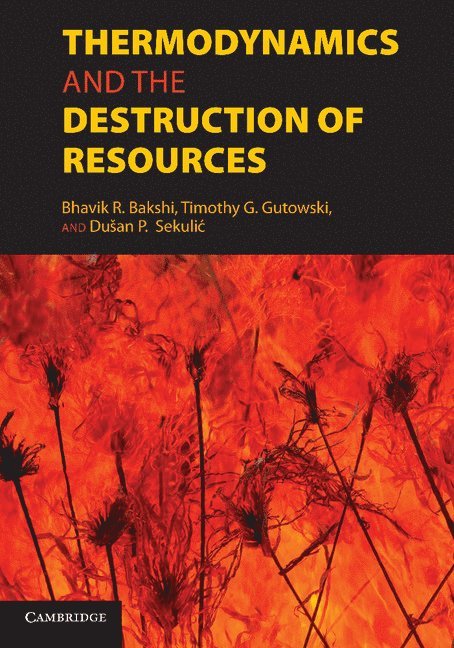 Thermodynamics and the Destruction of Resources 1