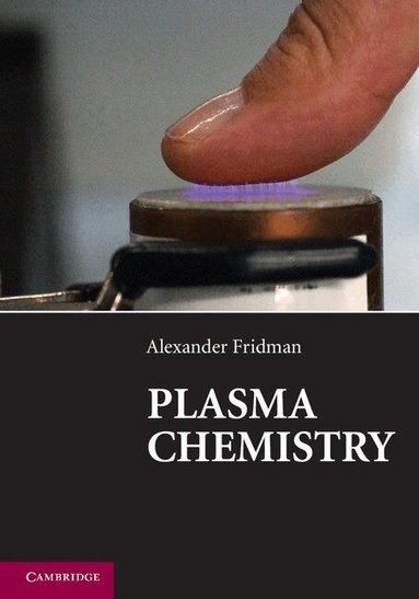 Alexander Fridman - Plasma Chemistry, Häftad