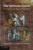 Minnesota) Gavrilyuk, Paul L. (University of St Thomas, Sarah (University of Cambridge) Coakley, Paul L. Gavrilyuk, Sarah Coakley - The Spiritual Senses, Häftad
