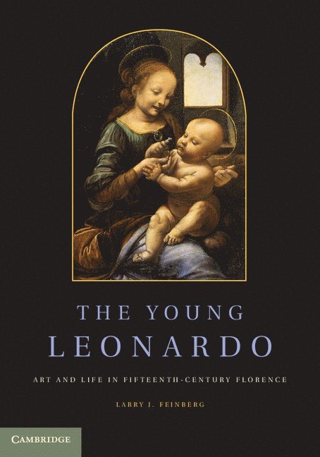 The Young Leonardo 1
