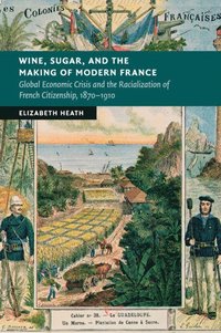 bokomslag Wine, Sugar, and the Making of Modern France