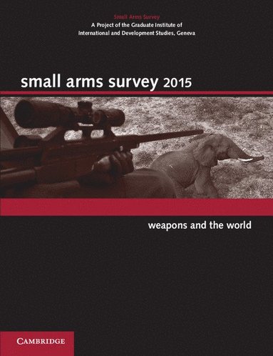 bokomslag Small Arms Survey 2015