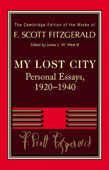 bokomslag Fitzgerald