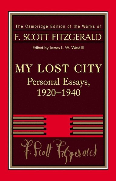 bokomslag Fitzgerald: My Lost City