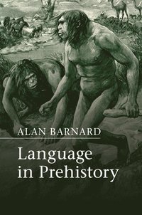 bokomslag Language in Prehistory