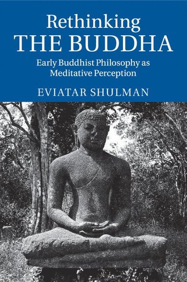 bokomslag Rethinking the Buddha