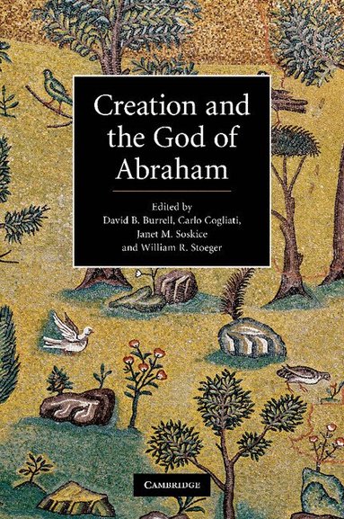 David B. Burrell, Carlo Cogliati, Janet M. Soskice, William R. Stoeger - Creation and the God of Abraham, Häftad
