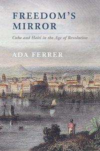 bokomslag Freedom's Mirror