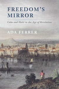 bokomslag Freedom's Mirror