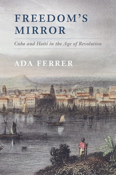 bokomslag Freedom's Mirror