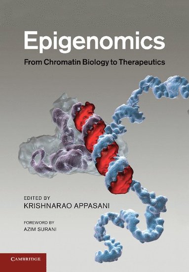 bokomslag Epigenomics