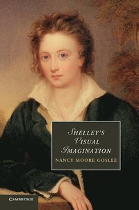bokomslag Shelley's Visual Imagination