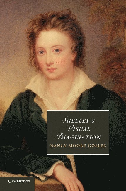 Shelley's Visual Imagination 1