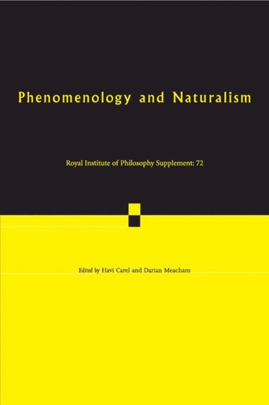 bokomslag Phenomenology and Naturalism