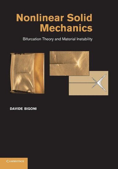 Davide Bigoni - Nonlinear Solid Mechanics, Häftad