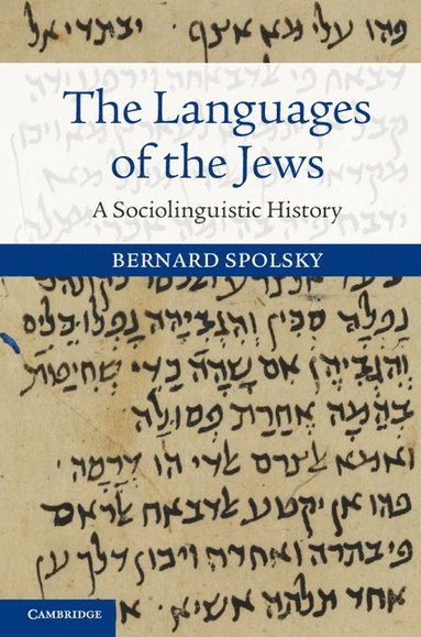 bokomslag The Languages of the Jews