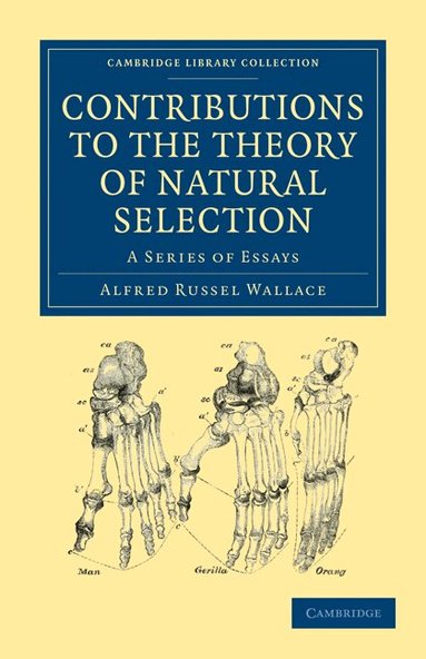 Alfred Russel Wallace - Contributions to the Theory of Natural Selection, Häftad
