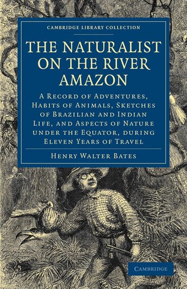 Henry Walter Bates - The Naturalist on the River Amazon, Häftad