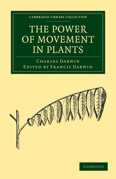 bokomslag Power of Movement in Plants