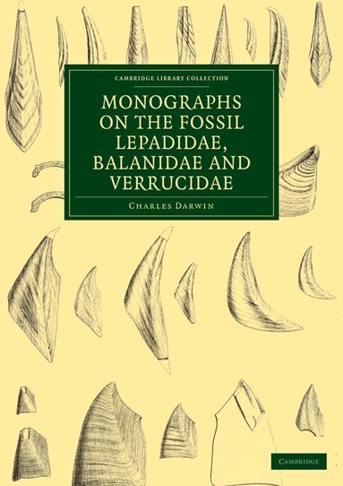 Charles Darwin - Monographs on the Fossil Lepadidae, Balanidae and Verrucidae, Häftad