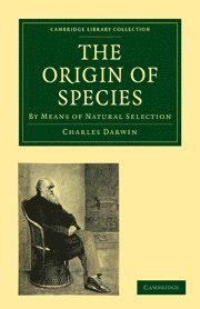 bokomslag Origin of Species