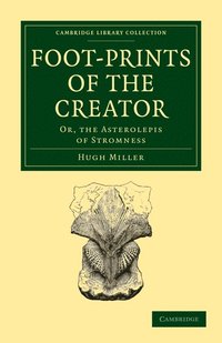 bokomslag Foot-Prints of the Creator